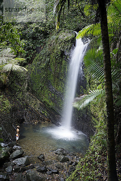 Majestätische Naturlandschaft mit einem Mann  der unter einem der San-Diego-Wasserfälle im Regenwald von El Yunque  Rio Grande  Puerto Rico  steht
