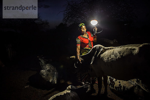 Mforo  Tansania ein Dorf in der Nähe von Moshi  Tansania. Solar Sister Unternehmerin Fatma Mziray bei der abendlichen Kontrolle ihrer Kühe. Bevor sie die tragbare Solarlaterne hatte  standen sie und ihr Mann die ganze Nacht auf  um nach den Kühen zu sehen  denn trotz des Dornengestrüpps  das als Zaun um die Kühe dient  drangen Hyänen ein und töteten die Kühe. Sie entdeckten  dass die Hyänen wegblieben  als sie eine Lampe an einem Baum in der Nähe der Kühe aufhängten. Das war eine großartige Lösung  und sie müssen nicht mehr mehrmals in der Nacht aufstehen. Fatma Mziray ist eine Solar Sister-Unternehmerin  die sowohl saubere Kochherde als auch Solarlaternen verkauft. Fatma hörte von einer Entwicklungshelferin von Solar Sister von den Kochern und beschloss  einen auszuprobieren. Der Rauch vom Kochen auf ihrem traditionellen Holzherd mit Brennholz verursachte ihr viele gesundheitliche Probleme  ihre Lungen waren verstopft  ihre Augen brannten und ihr Arzt sagte ihr  dass sie nicht mehr auf diese Weise kochen dürfe. An manchen Tagen fühlte sie sich so schlecht  dass sie nicht zum Kochen gehen konnte. Fatma sagte: ??????Um für eine Familie zu kochen  Frühstück  Mittag- und Abendessen zuzubereiten  musste ich früher jeden Tag eine große Ladung Holz sammeln. Jetzt  mit dem neuen Herd  reicht die gleiche Ladung Holz für bis zu drei Wochen Kochen. ??????Durch die zusätzliche Zeit kann ich mein Geschäft ausbauen. Außerdem habe ich mehr Zeit für meine Familie. Ich kann das Studium meiner Kinder ?????? überwachen. All das trägt zu einer glücklicheren Familie und einer besseren Beziehung zu meinem Mann bei. Seitdem ich den sauberen Herd benutze  ist niemand mehr krank geworden oder musste wegen einer Grippe ins Krankenhaus. ?????? Fatma sieht sich selbst als Helferin ihrer Gemeinschaft  denn sie sieht nicht mehr  dass die Menschen  denen sie Kochherde verkauft hat  rote Augen haben  husten oder krank sind  wie es früher der Fall war. Sie konnte das Schulgeld für ihre Kinder bezahlen  Dinge für den Haushalt und eine Kuh kaufen. ??????Was mich dazu bringt  jeden Morgen früh aufzustehen  meine Kocher zu nehmen und in mein Geschäft zu gehen  ist die Möglichkeit  meine Familie zur Schule zu bringen.