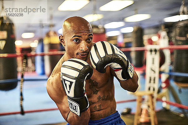 Vorderansicht eines männlichen Boxers beim Training im Boxring  Taunton  Massachusetts  USA