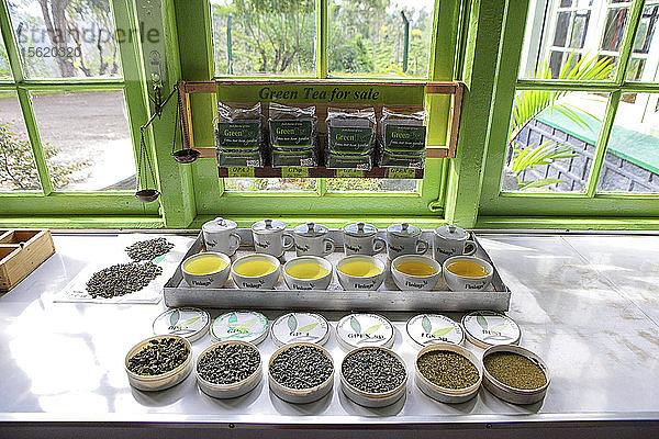 Verschiedene Teesorten auf einer Teeplantage im Süden Sri Lankas