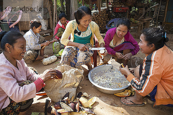 Frauen schneiden Bananenblüten in Vorbereitung auf ein Glücksfest  das im Haus einer krebskranken Frau in Ban Huay Phouk  Laos  stattfindet.