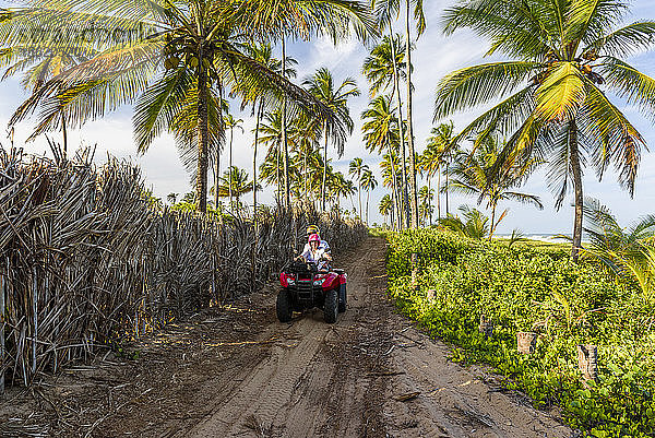 Paar fährt auf einem Geländewagen auf einer unbefestigten Straße in einer tropischen Landschaft mit Palmen  Strand von Taipu de Fora  Süd-Bahia  nahe Barra Grande  Brasilien