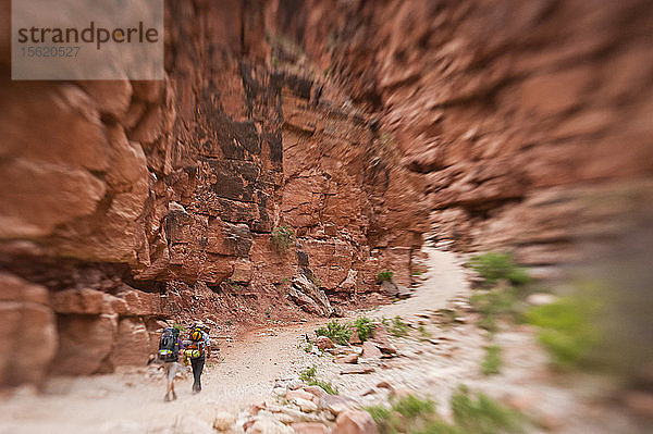 Zwei Rucksacktouristen wandern durch den Grand Canyon. (Tilt Shift)