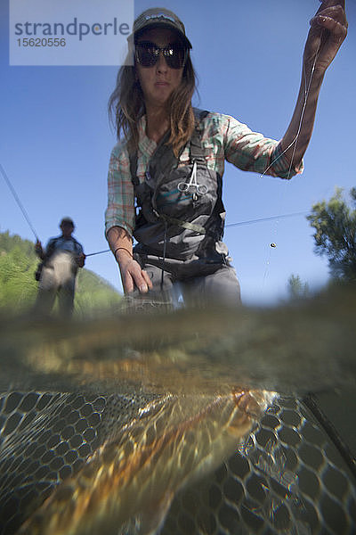 Eine Frau mit einer kleinen Regenbogenforelle im Fischernetz am Big Wood River  Ketchum  Idaho