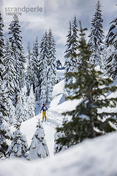 Rückansicht der Person Skifahren in verschneiten Region in Lake Tahoe  Kalifornien  verwenden