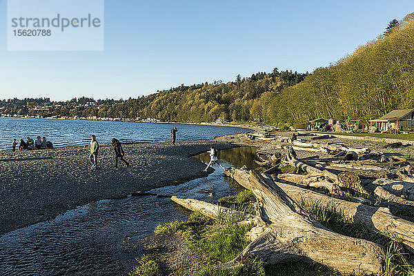 Klarer Himmel über Menschen  die sich am mit Treibholz gefüllten Küstenstrand entspannen  Seattle  Washington  USA