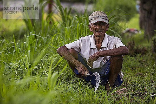 Ein älterer Mann hockt mit einer Sichel in einem Reisfeld bei Ubub  Bali  Indonesien.