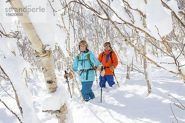 Eine Skiläuferin und ein Skiläufer laufen zwischen schneebedeckten Birken auf halber Höhe des Vulkans Annupuri im Skigebiet Niseko United. Der Schnee auf der japanischen Insel Hokkaido ist so weich  dass er ein Paradies für Skifahrer ist. Niseko United besteht aus vier Skigebieten auf einem Berg  dem Annupuri (1.308 m). Der 100 km südlich von Sapporo gelegene Niseko Annupuri ist Teil des Quasi-Nationalparks Niseko-Shakotan-Otaru Kaigan und ist der östlichste Park der Niseko-Vulkangruppe. Hokkaido  die nördliche Insel Japans  liegt geografisch ideal in der Bahn der beständigen Wettersysteme  die die kalte Luft aus Sibirien über das Japanische Meer bringen. Dies führt dazu  dass viele der Skigebiete mit Pulverschnee überhäuft werden  der für seine unglaubliche Trockenheit bekannt ist. In einigen der Skigebiete Hokkaidos fallen durchschnittlich 14-18 Meter Schnee pro Jahr. Niseko ist die Pulverschneehauptstadt der Welt und als solche das beliebteste internationale Skigebiet in Japan. Es bietet ein unvergessliches Erlebnis für Skifahrer und Snowboarder aller Niveaus.