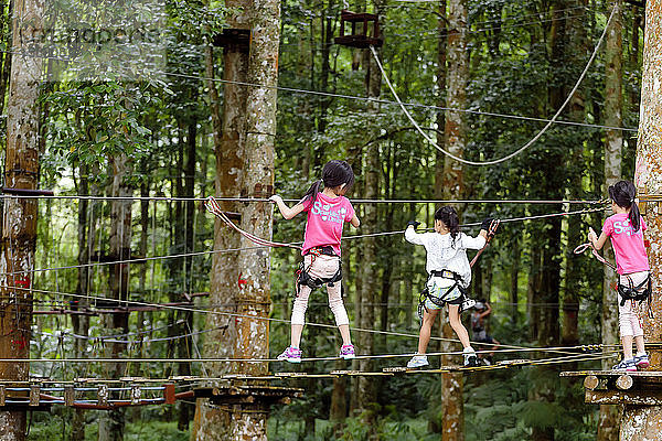 Drei Mädchen klettern über ein gespanntes Seil in einem Treetop Adventure Park  Bali  Indonesien