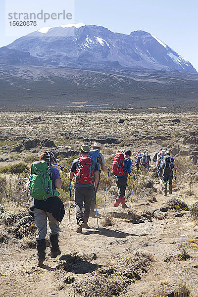 Wanderer gehen durch eine felsige und staubige Wiese in Richtung des Fußes des Kilimandscharo. Der Kilimandscharo mit seinen drei Vulkankegeln Kibo  Mawenzi und Shira ist ein ruhender Vulkanberg in Tansania. Er ist der höchste Berg Afrikas und erhebt sich etwa 4.877 Meter von seiner Basis auf 5.895 Meter über dem Meeresspiegel. Der Berg ist Teil des Kilimandscharo-Nationalparks und ein beliebtes Ziel für Bergsteiger. Der Berg war wegen seiner schrumpfenden Gletscher Gegenstand zahlreicher wissenschaftlicher Studien. Tansania ist ein ostafrikanisches Land  das für seine großen Wildnisgebiete bekannt ist. Dazu gehören die Ebenen des Serengeti-Nationalparks  ein Safari-Mekka  das von den Big Five (Elefant  Löwe  Leopard  Büffel  Nashorn) bevölkert wird  und der Kilimandscharo-Nationalpark  in dem der höchste Berg Afrikas steht.