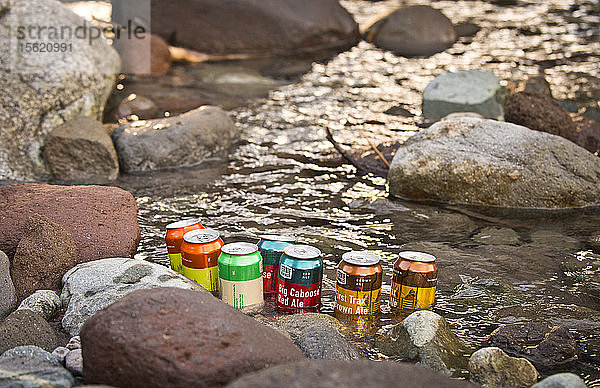 Bierdosen kühlen sich in einem Fluss in Squamish  British Columbia  ab.