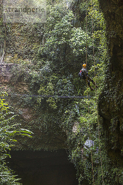Eine Frau seilt sich in eine tiefe Höhle in einem üppigen Wald in Puerto Rico ab