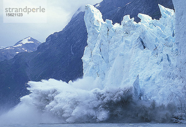 USA  Alaska  Glacier Bay National Park  Massive Eisberge kalben von der Wand des Margerie-Gletschers im Tarr Inlet