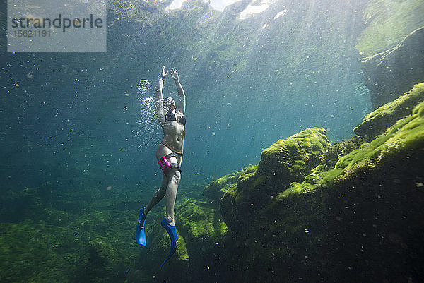 Unterwasseransicht einer Frau im Bikini beim Schnorcheln ï¾ Cenoteï¾ el Eden  Riviera Maya ï¾ Playaï¾ delï¾ Carmen ï¾ Quintanaï¾ Roo ï¾ Mexiko