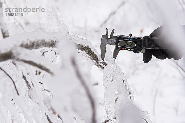 Ein Forscherteam stellt einen Eissturm während des Winters in den White Mountains von New Hampshire nach. Das Team untersucht die Auswirkungen von Eisstürmen auf Böden  Bäume  Vögel und Insekten.