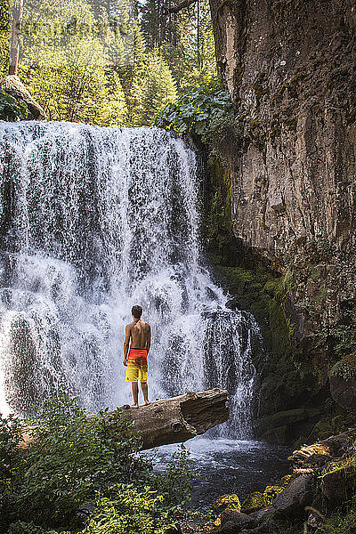 Rückansicht eines einzelnen jungen Mannes in Badehose  der vor einem Wasserfall steht  McCloud River  Kalifornien  USA