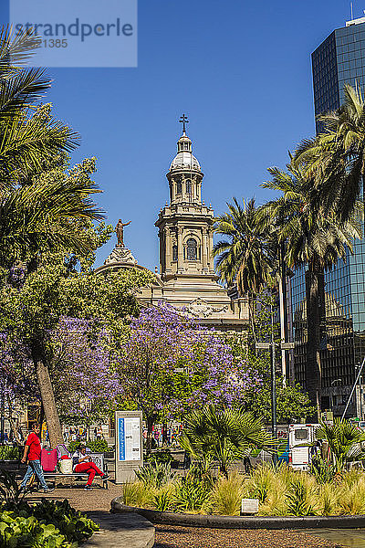 Blick auf den Stadtplatz mit Palmen an der Plaza de Armas im Zentrum von Santiago  Chile
