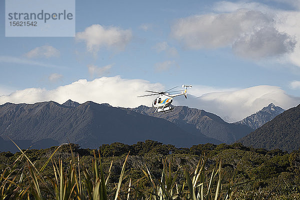 Hubschrauberflug über Bäume und Berge  Südinsel  Neuseeland