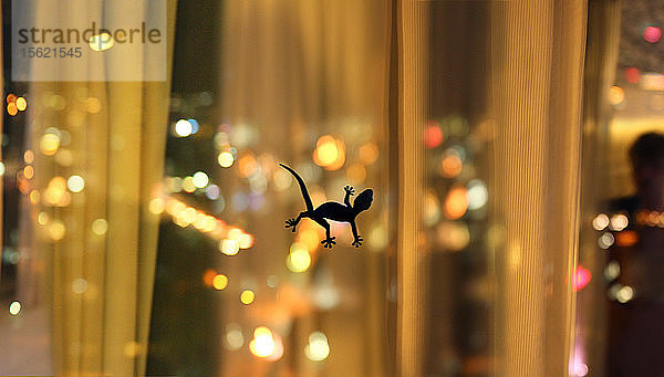 Silhouette einer Eidechse am Fenster eines Hotelzimmers  Hongkong  China