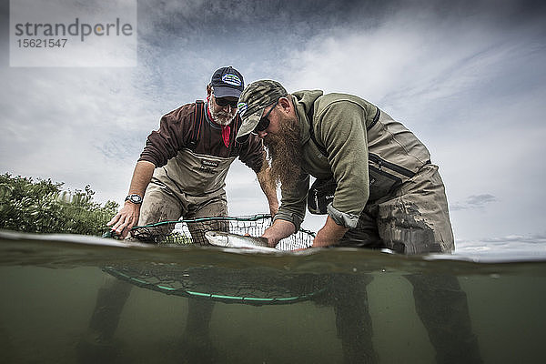 Zwei Angler lassen einen Sockeye-Lachs im Togiak River  AK  frei.