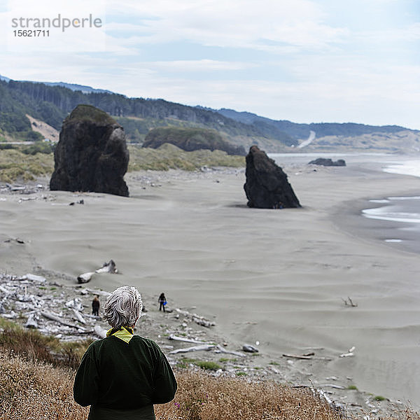 Rückansicht einer Frau  die auf einen Strand in Oregon  USA  blickt.