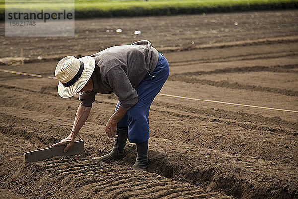 Seitenansicht eines Landwirts bei der Arbeit auf einem Feld  Tokio  Japan
