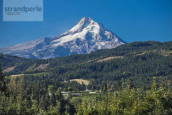 Ein Blick auf den Mt. Hood an einem sonnigen Tag von Hood River  Oregon