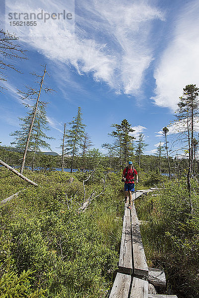 Mann  der beim Wandern in den Weißen Bergen auf dem Boardwalk geht