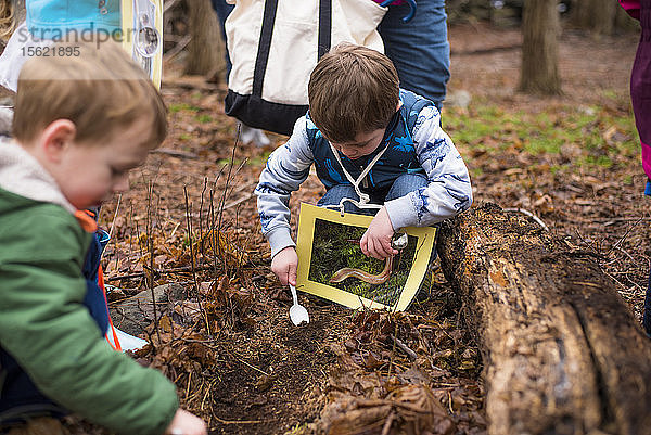 Naturerziehung im Freien mit Kindern  Bristol  Rhode Island  USA