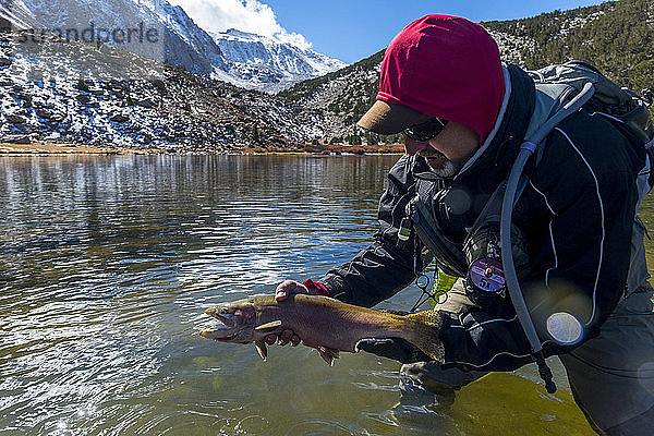 Greg zeigt eine Lahontan Cutthroat-Forelle an einem geheimen See in der östlichen Sierra