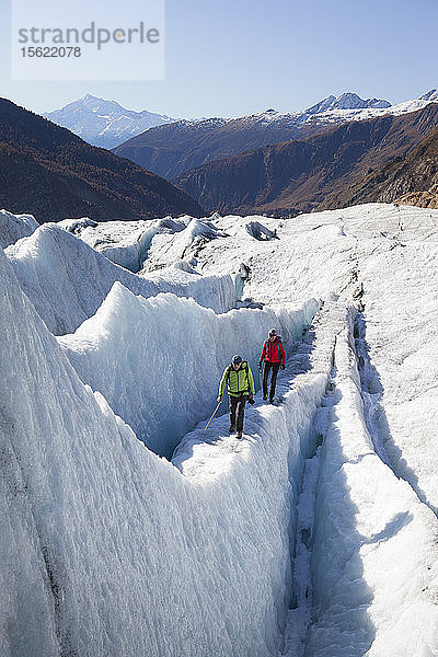 Ein Bergführer und sein Kunde wandern über einen Eisgrat des Schweizer Aletschgletschers  einem der größten Eisströme Europas und dem ersten Unesco-Welterbe der Alpen. Dieser riesige Eisfluss  der sich über 23 km von seiner Entstehung in der Jungfrauregion (auf 4000 m) bis hinunter zur Massaschlucht im Wallis  rund 2500 m tiefer  erstreckt  fasziniert und inspiriert jeden Besucher.