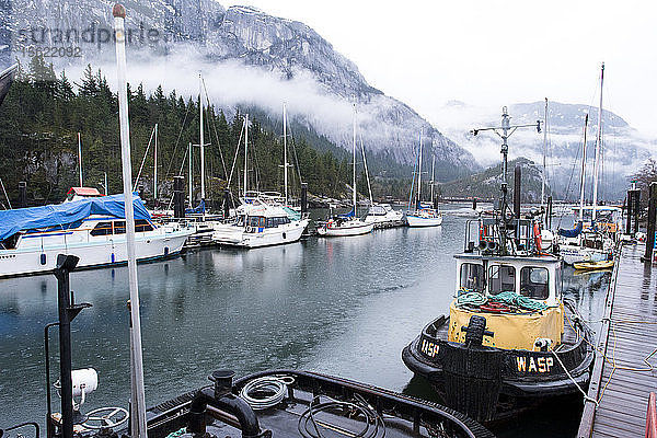 Blick auf den Hafen mit Segelbooten und Fischerbooten von Squamish  British Columbia  Kanada