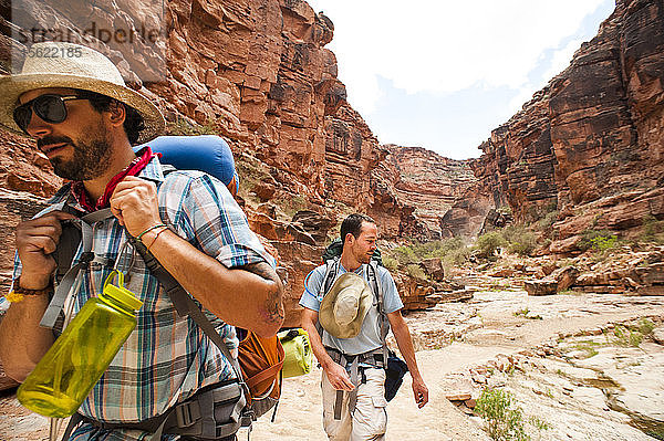 Zwei Rucksacktouristen wandern durch den Grand Canyon.