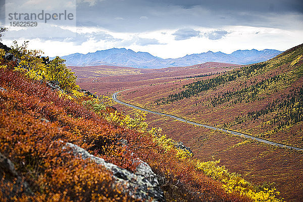 Eine leere Straße schlängelt sich durch die Herbstfarben im Denali National Park.