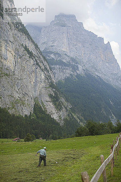 Ein nicht identifizierter Mann arbeitet auf einer grünen Wiese am Fuße der großen Berge in Lauterbrunnen. Schweiz.