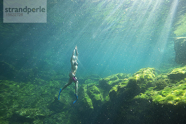 Unterwasseransichtï¾ einer Frau im Bikini beim Schnorcheln ï¾ Cenoteï¾ el Eden  Riviera Maya ï¾ Playaï¾ delï¾ Carmen ï¾ Quintanaï¾ Roo ï¾ Mexiko