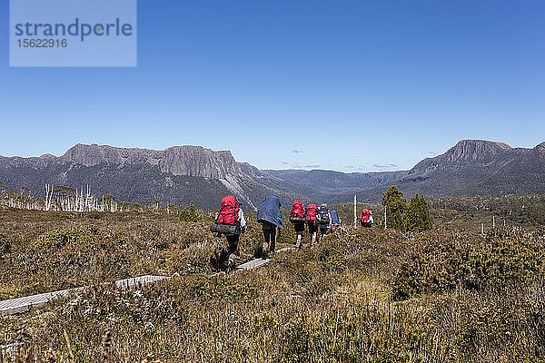 Wanderer wandern auf dem Overland Track in der Nähe des Mount Ossa in der alpinen Wildnis Tasmaniens.