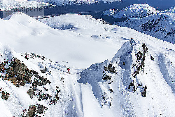 Die Profi-Snowboarder Marie France Roy  Robin Van Gyn und Helen Schettini stehen auf dem Gipfel eines Berges und machen sich bereit  sich auf ihre Snowboards zu setzen  nachdem sie an einem sonnigen Tag in Haines  Alaska  von einem Hubschrauber abgesetzt wurden.