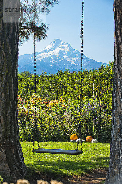 Eine Baumschaukel in einem bunten Garten außerhalb von Hood River  Oregon  mit dem Mt. Hood im Hintergrund.