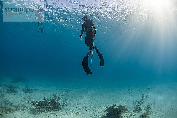 Zwei Taucher beim Unterwasser-Speerfischen im Meer  Clarence Town  Long Island  Bahamas