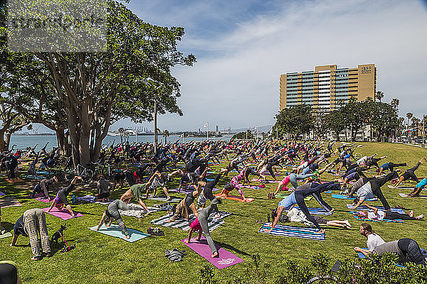 Große Gruppe von Menschen  die während eines Yoga-Kurses im Freien trainieren  Long Beach  Kalifornien  USA