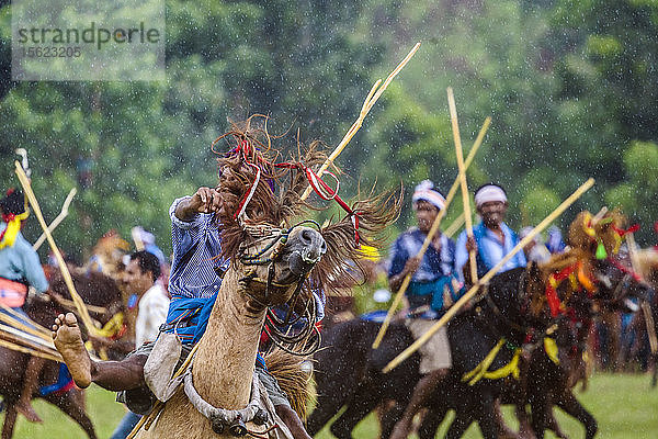 Gruppe von Männern  die auf Pferden reiten und am Pasola-Festival teilnehmen  Insel Sumba  Indonesien