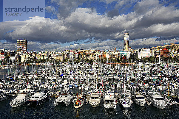 Boote im Jachthafen  Hafen von Alicante  Costa Blanca  Provinz Alicante  Königreich Spanien