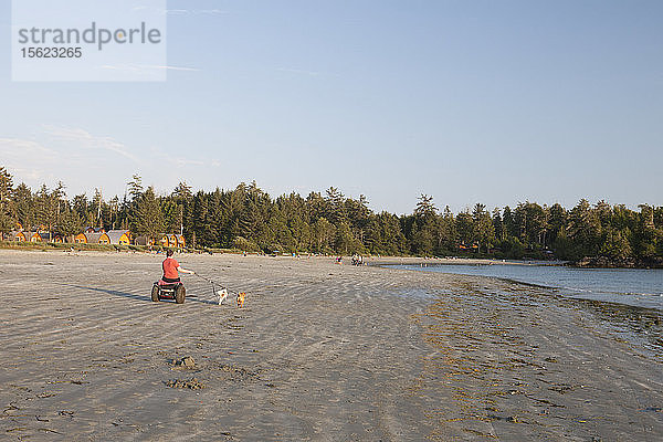 Eine Frau geht mit ihren Hunden am Mackenzie Beach in Tofino  British Columbia  Kanada  spazieren.
