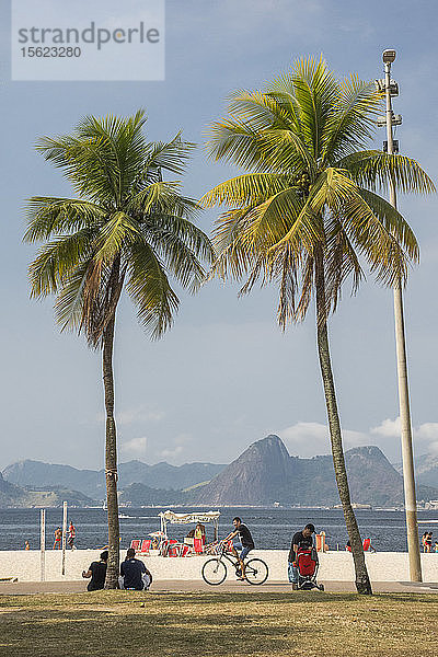 Palmen und ein Mann auf dem Fahrrad im Freizeitgebiet Aterro do Flamengo  Blick auf Praia do Flamengo und Niteroi im Hintergrund  Rio de Janeiro  Brasilien