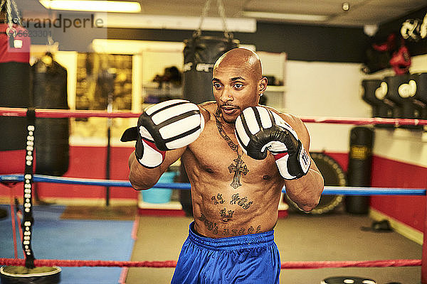 Männlicher Boxer trainiert allein im Boxring  Taunton  Massachusetts  USA