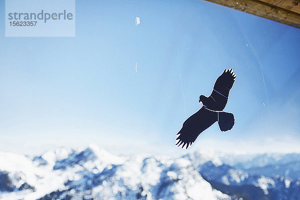 Vogelaufkleber auf Glas gegen Berge