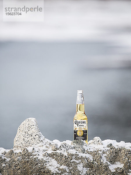 Nahaufnahme einer Bierflasche  die auf einem Hügel im Schnee steht  Haines  Alaska  USA