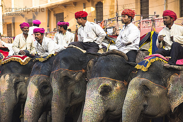 Fremdenführer sitzen auf ihren Elefanten vor dem Roten Fort in Jaipur  Indien.