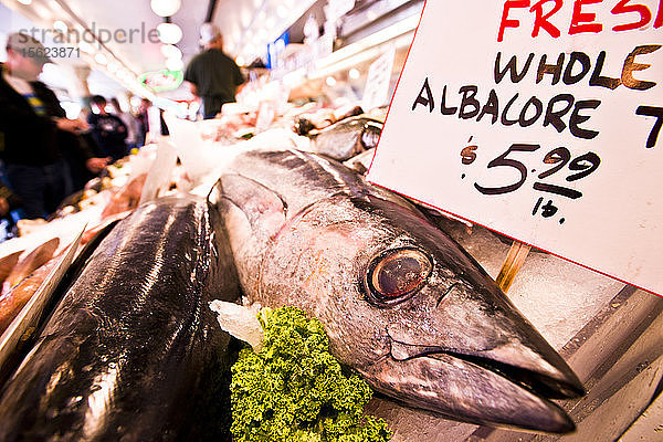 Ausgestellte Meeresfrüchte auf dem Pike Place Market in Seattle  Washington.